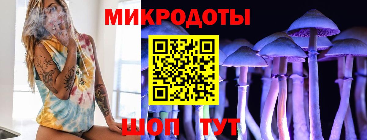 Псилоцибиновые грибы Cubensis  Вход с VPN  Белогорск 